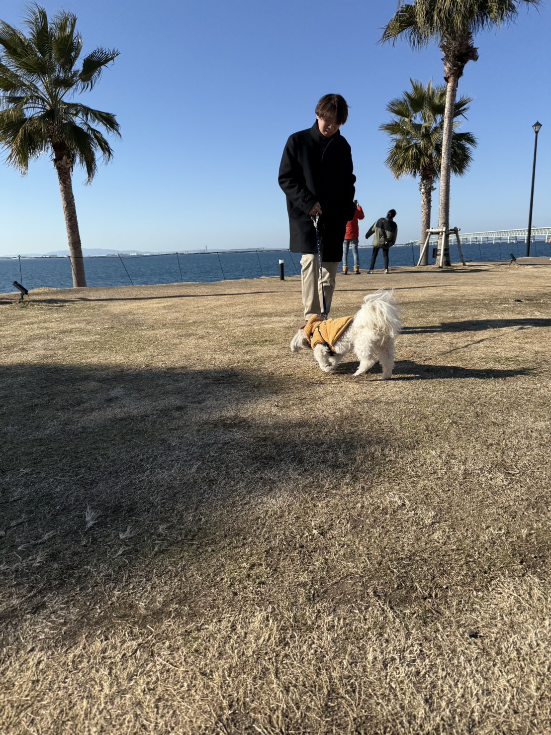 いっくん