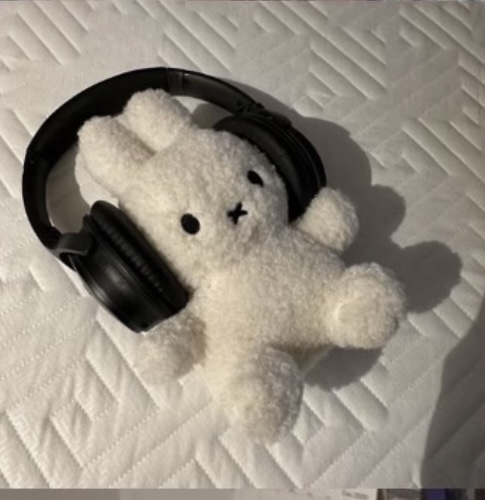 ひな