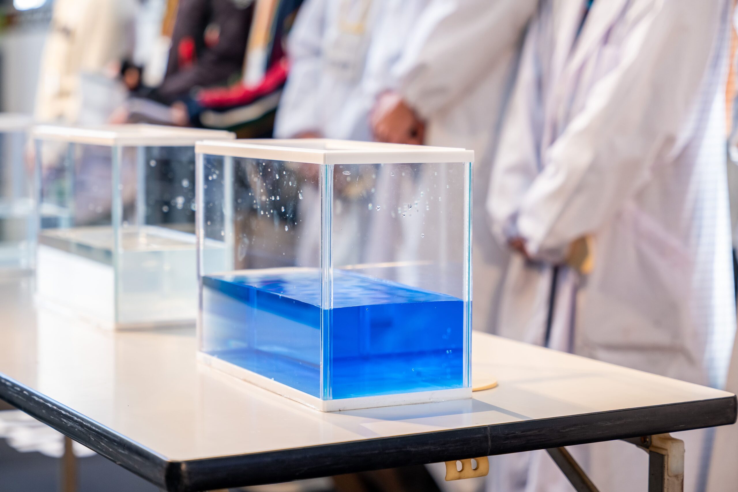 本日のファシリテーター